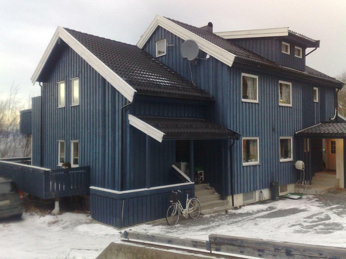 Malvik Apartment المظهر الخارجي الصورة